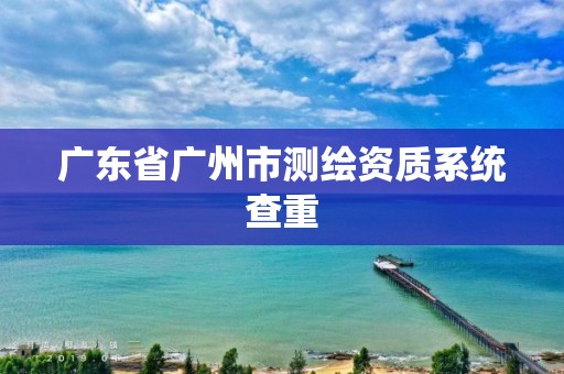 广东省广州市测绘资质系统查重