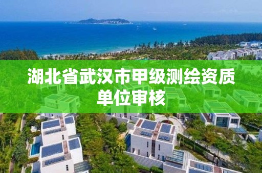 湖北省武汉市甲级测绘资质单位审核