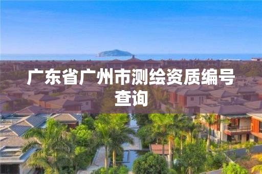 广东省广州市测绘资质编号查询