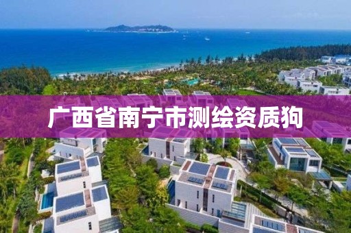 广西省南宁市测绘资质狗