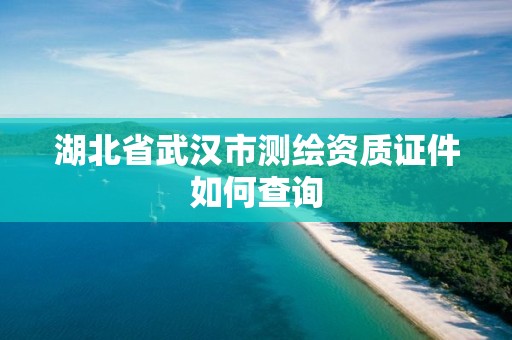 湖北省武汉市测绘资质证件如何查询