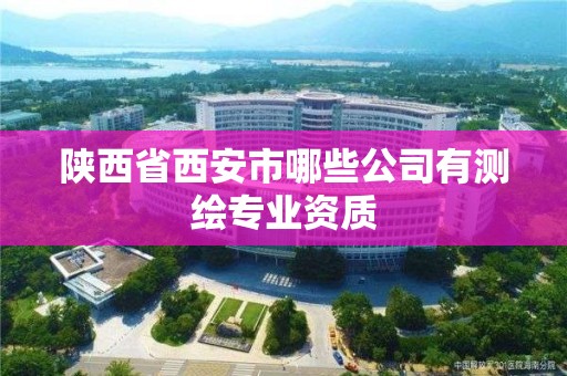 陕西省西安市哪些公司有测绘专业资质