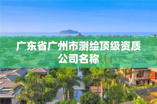 广东省广州市测绘顶级资质公司名称