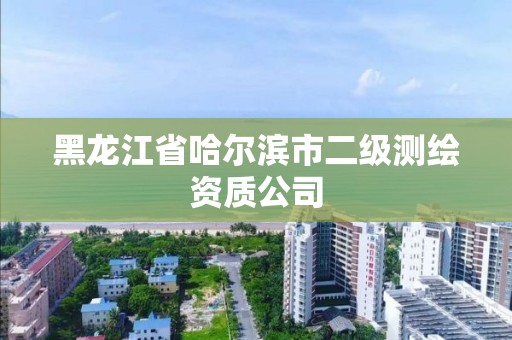 黑龙江省哈尔滨市二级测绘资质公司