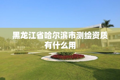 黑龙江省哈尔滨市测绘资质有什么用