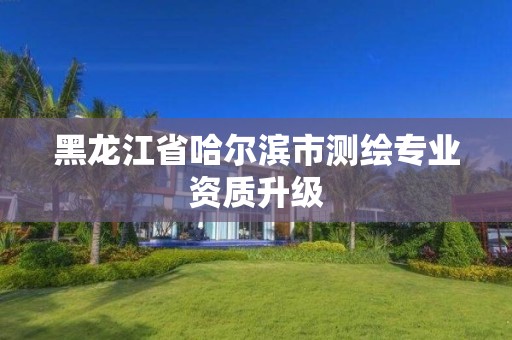 黑龙江省哈尔滨市测绘专业资质升级