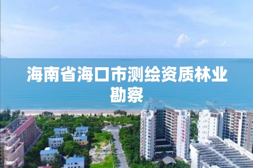 海南省海口市测绘资质林业勘察