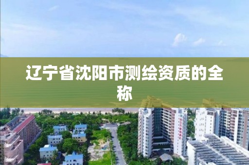 辽宁省沈阳市测绘资质的全称