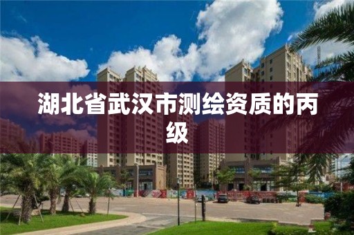 湖北省武汉市测绘资质的丙级