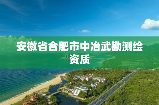 安徽省合肥市中冶武勘测绘资质