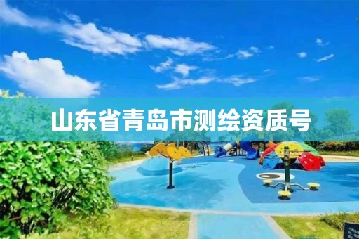 山东省青岛市测绘资质号