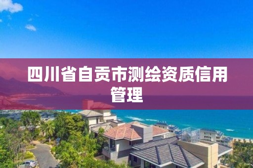 四川省自贡市测绘资质信用管理