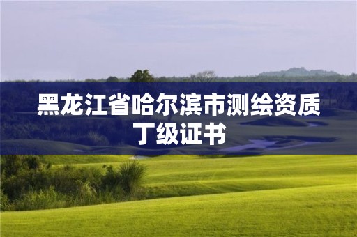 黑龙江省哈尔滨市测绘资质丁级证书