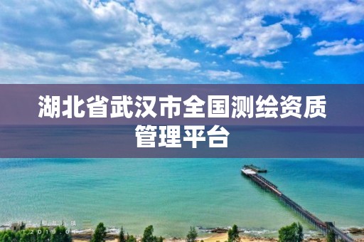 湖北省武汉市全国测绘资质管理平台