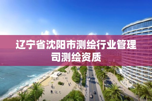 辽宁省沈阳市测绘行业管理司测绘资质