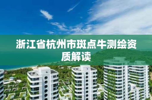 浙江省杭州市斑点牛测绘资质解读