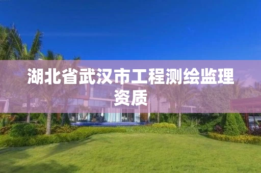 湖北省武汉市工程测绘监理资质 湖北省武汉市工程测绘监理资质