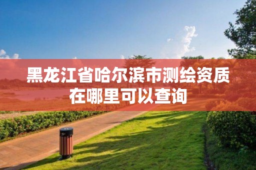 黑龙江省哈尔滨市测绘资质在哪里可以查询