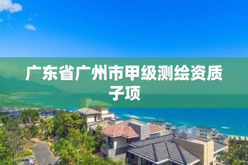 广东省广州市甲级测绘资质子项