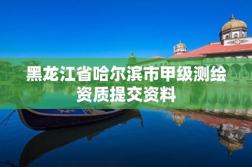 黑龙江省哈尔滨市甲级测绘资质提交资料