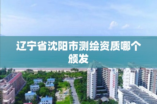 辽宁省沈阳市测绘资质哪个颁发