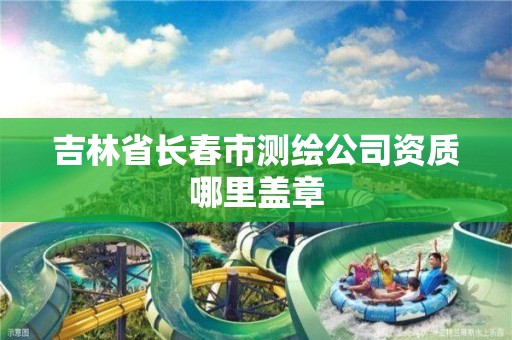 吉林省长春市测绘公司资质哪里盖章