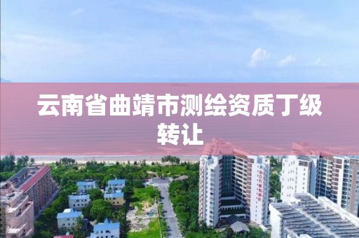 云南省曲靖市测绘资质丁级转让