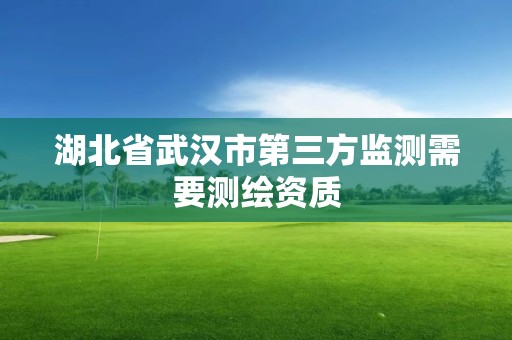 湖北省武汉市第三方监测需要测绘资质