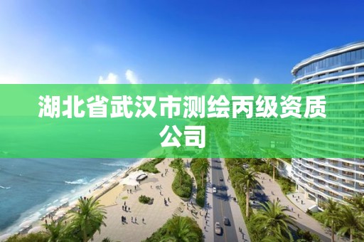 湖北省武汉市测绘丙级资质公司