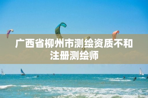 广西省柳州市测绘资质不和注册测绘师