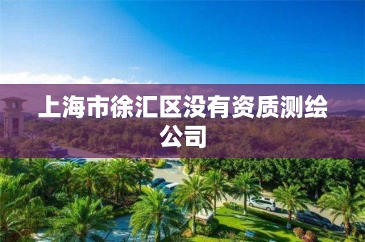 上海市徐汇区没有资质测绘公司