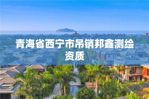 青海省西宁市吊销邦鑫测绘资质