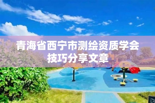 青海省西宁市测绘资质学会技巧分享文章