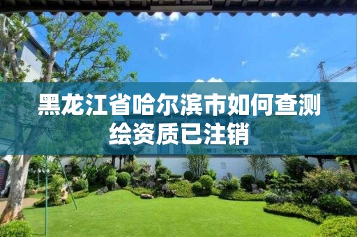 黑龙江省哈尔滨市如何查测绘资质已注销