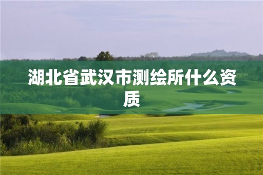 湖北省武汉市测绘所什么资质