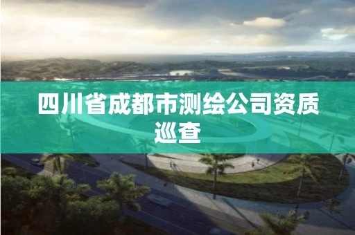 四川省成都市测绘公司资质巡查