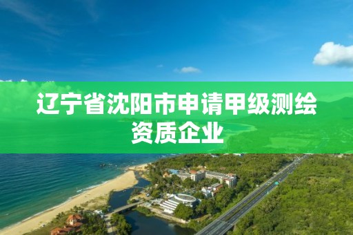 辽宁省沈阳市申请甲级测绘资质企业