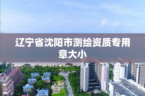 辽宁省沈阳市测绘资质专用章大小