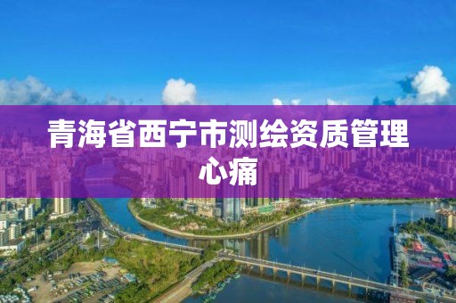 青海省西宁市测绘资质管理心痛