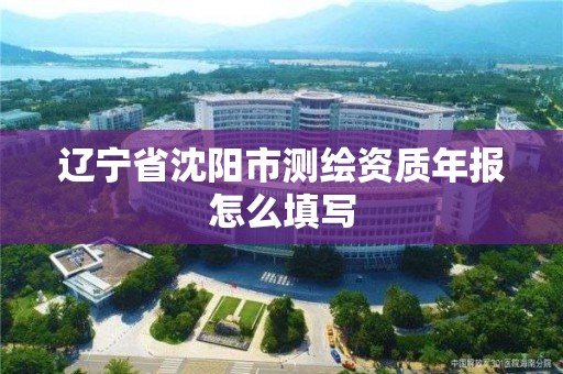 辽宁省沈阳市测绘资质年报怎么填写