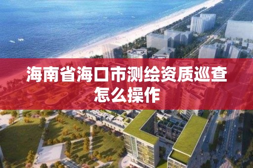 海南省海口市测绘资质巡查怎么操作