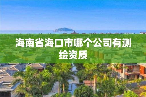 海南省海口市哪个公司有测绘资质