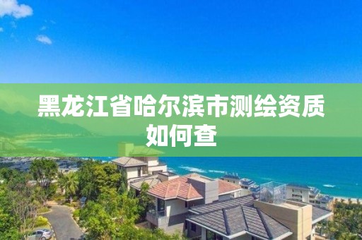 黑龙江省哈尔滨市测绘资质如何查