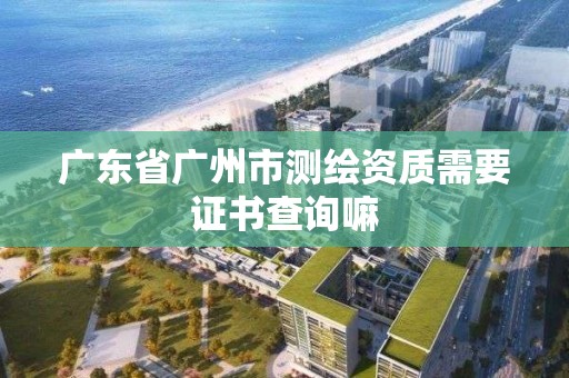 广东省广州市测绘资质需要证书查询嘛