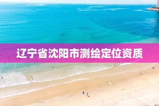 辽宁省沈阳市测绘定位资质