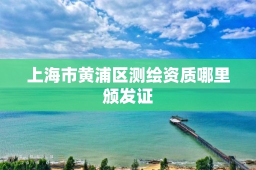 上海市黄浦区测绘资质哪里颁发证