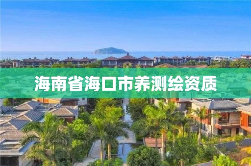 海南省海口市养测绘资质 海南省海口市养测绘资质