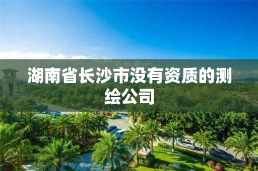 湖南省长沙市没有资质的测绘公司