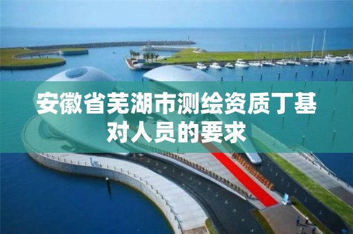 安徽省芜湖市测绘资质丁基对人员的要求