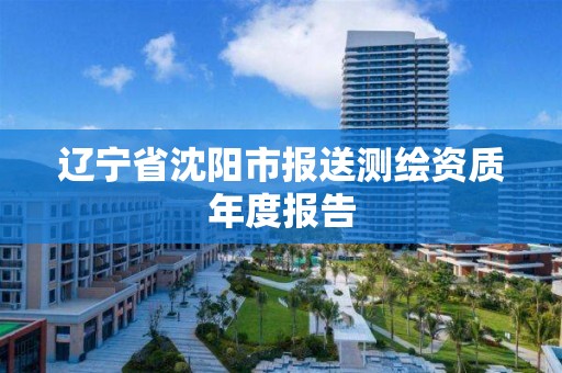 辽宁省沈阳市报送测绘资质年度报告